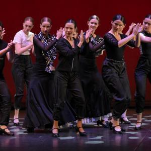 Fotografía de Talleres Baile Flamenco (galería 2) - Conservatorio de Danza